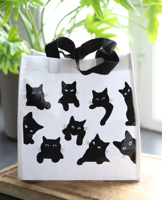 Lounaskassi - Kissat