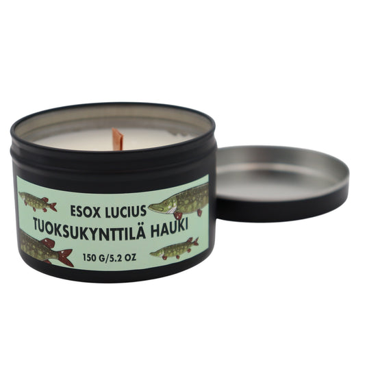 Tuoksukynttilä - Hauki